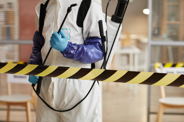 Professional Sewage Cleanup technician working in Wishon, CA